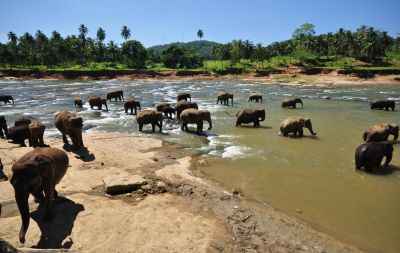 SRI LANKA E MALDIVAS EM 15 DIAS