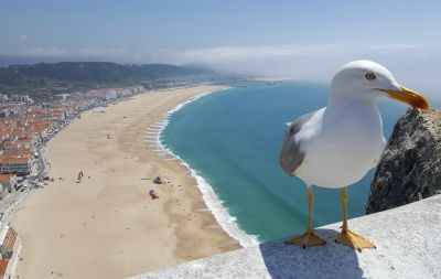 DICAS PARA UM FIM DE SEMANA DIFERENTE EM PORTUGAL