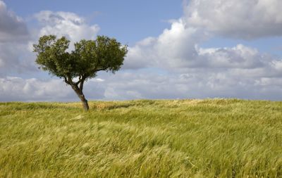 ROTEIRO TURÍSTICO NO ALENTEJO