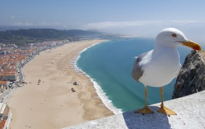 UMA VIAGEM PELO CENTRO DE PORTUGAL