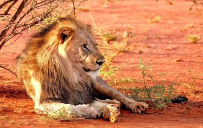 NAMÍBIA - O PAÍS MAIS PITORESCO DO CONTINENTE AFRICANO