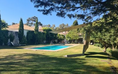 PORTUGAL - ALVERCA DO RIBATEJO - MORGADO LUSITANO