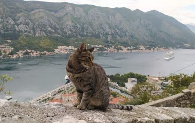 VIAJAR TAMBÉM É CONVIVER E HOMENAGEAR OS NOSSOS MELHORES AMIGOS