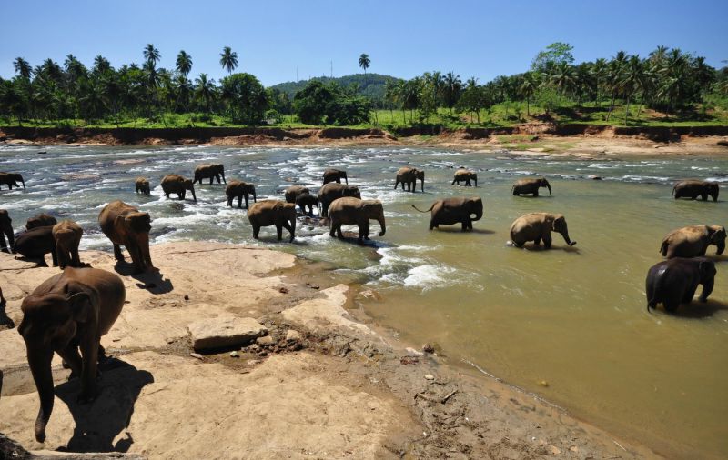 SRI LANKA E MALDIVAS EM 15 DIAS