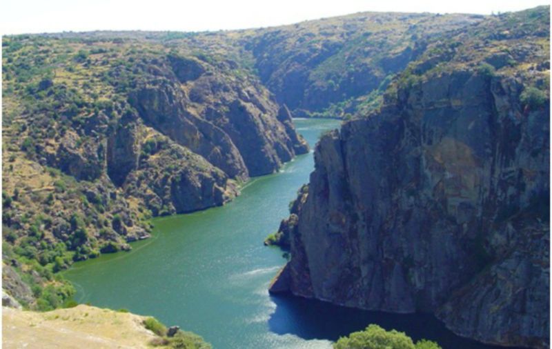 REGIÃO TRANSMONTANA