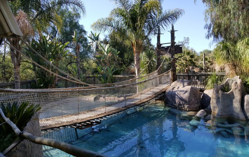 CINCO PASSEIOS NA AFRICA DO SUL