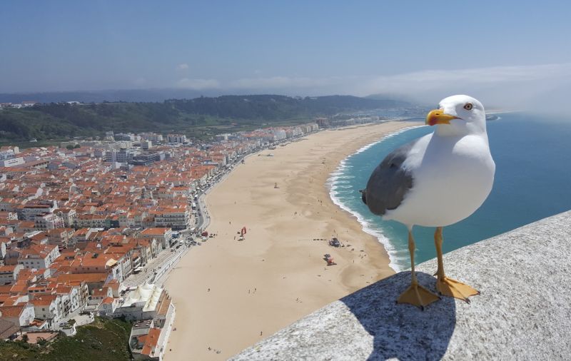 10 ROTEIROS TURISTICOS DESDE LISBOA