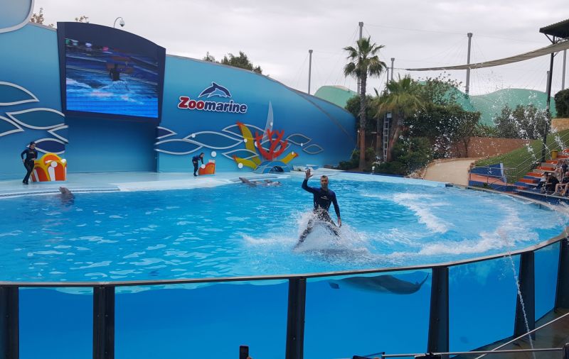 ZOOMARINE -MELHOR PARQUE TEMÁTICO DE PORTUGAL