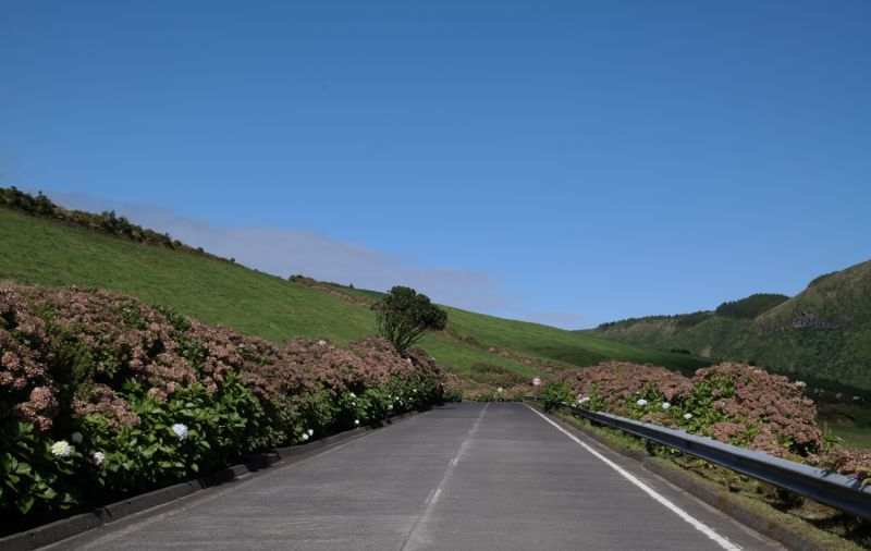 ALUGUER AUTOMÓVEL NOS AÇORES 