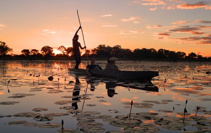 OS MELHORES DESTINOS PARA SAFARIS EM ÁFRICA