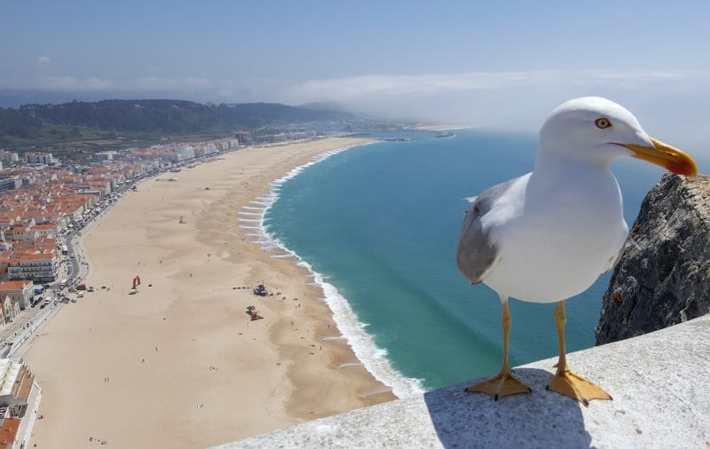 UMA VIAGEM PELO CENTRO DE PORTUGAL