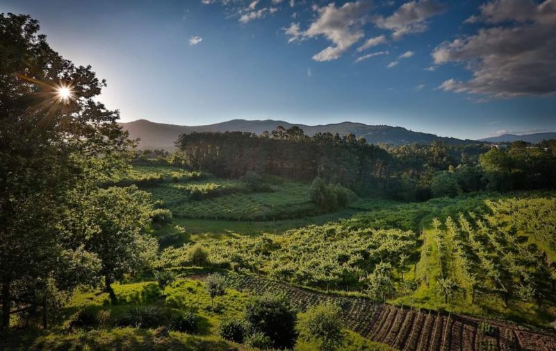 MELGAÇO E CASTRO LABOREIRO - DESTINO DE NATUREZA MAIS RADICAL DE PORTUGAL