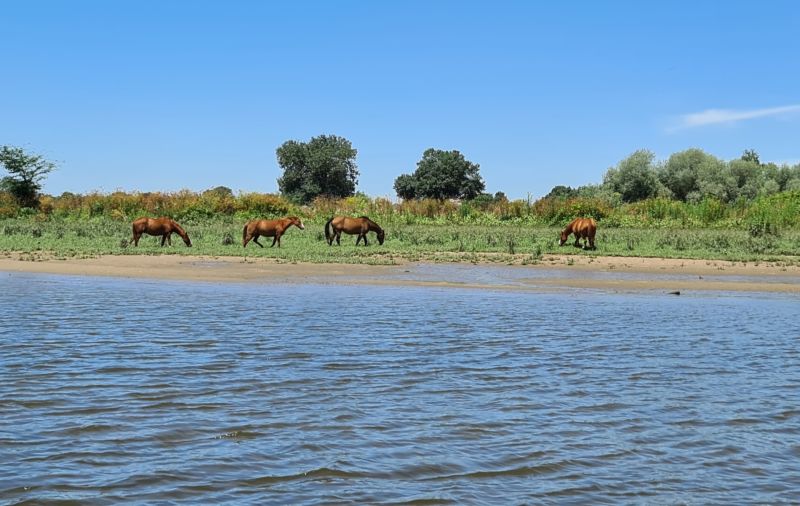 RIO TEJO E AS LEZÍRIAS DO RIBATEJO