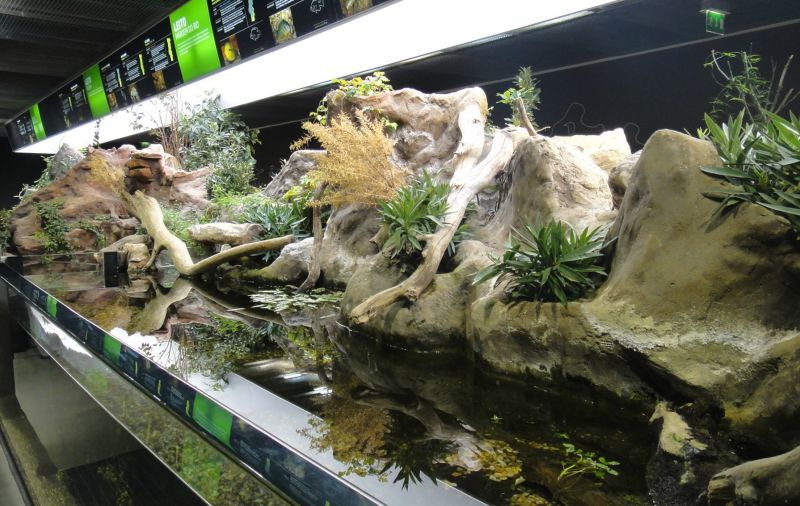 MORA (PORTUGAL) - FLUVIÁRIO DE MORA