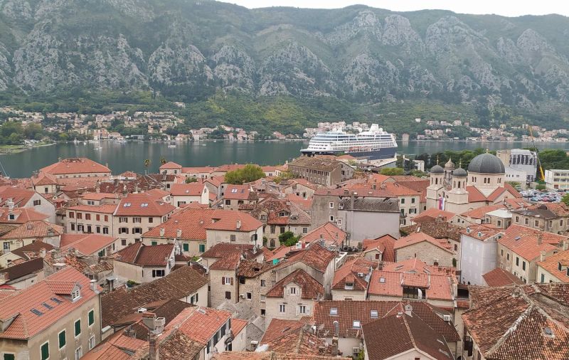 MONTENEGRO, O PAÍS DOS GATOS