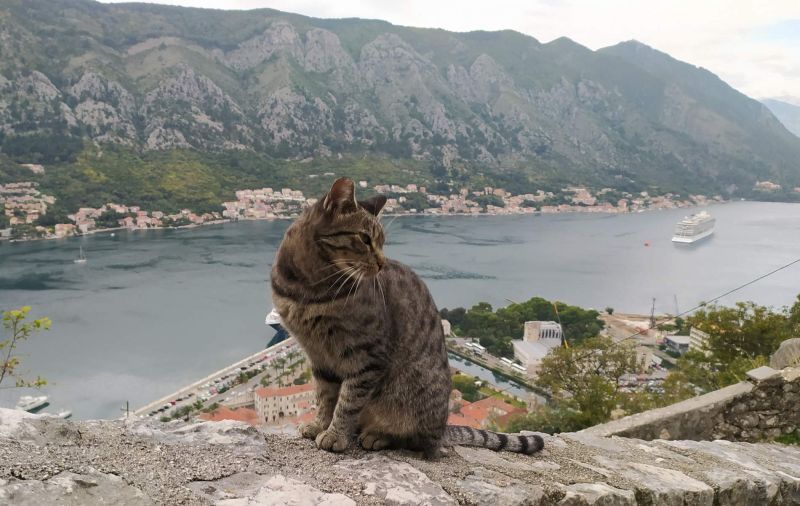 VIAJAR TAMBÉM É CONVIVER E HOMENAGEAR OS NOSSOS MELHORES AMIGOS